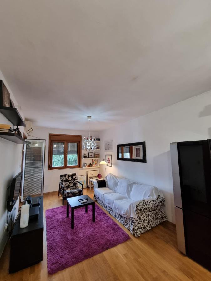 One Bedroom Centre Apartment Podgoriçe Dış mekan fotoğraf